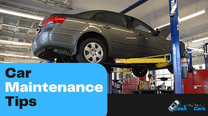 Car maintenance tips