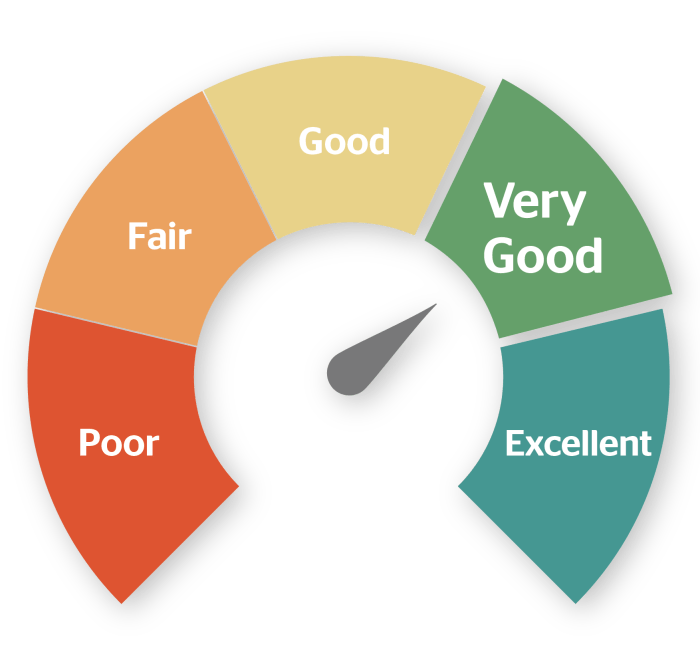 Credit score improvement