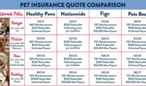 Pet insurance coverage