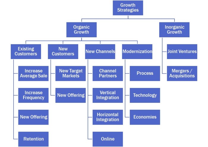 Business growth strategies