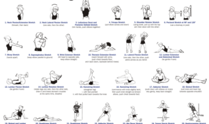 Stretching routines